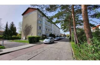 Wohnung kaufen in 06249 Mücheln (Geiseltal), wunderschöne helle 4 Raum Wohnung am Geiseltalsee