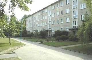 Wohnung mieten in Herzberger Straße 18, 03048 Ströbitz, Ausblick ins Grüne - 3-Raumwohnung mit Blick auf die Sachsendorfer Wiesen