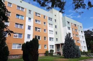 Wohnung mieten in Poststraße 1a, 01979 Lauchhammer, Gemütliche 1-Zimmer-Wohnung