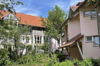 Wohnung mieten in Berliner Ring 67, 72076 Tübingen, Geräumige 1-Zimmer-Wohnung in ökologischer Wohnsiedlung