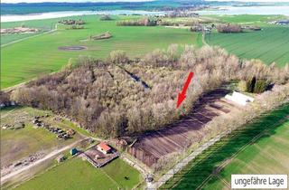 Grundstück zu kaufen in Lieschow, 18569 Ummanz, Wald auf der Halbinsel Lieschow in 18569 Ummanz/ Insel Rügen OT Lieschow