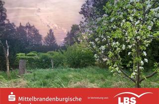 Grundstück zu kaufen in 16359 Biesenthal, Idyllisch gelegenes Baugrundstück in Danewitz