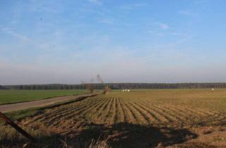 Immobilie kaufen in 06385 Aken (Elbe), 5 Ackerlandflächen, die sich in der Umgebung von Aken und Reppichau im Osternienburger Land befinden
