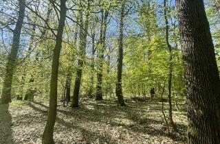 Gewerbeimmobilie kaufen in 04827 Machern, Wald am Golfplatz