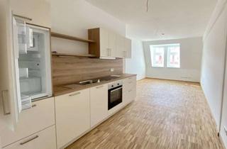 Wohnung mieten in 01277 Blasewitz, * moderne 1-Raumwohnung mit Einbauküche in beliebter Lage * ab sofort * 5914