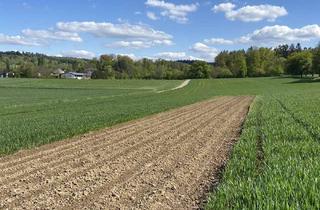 Grundstück zu kaufen in 75196 Remchingen, 2 Landwirtschaftsflächen zu verkaufen