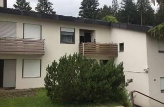 Wohnung kaufen in 78141 Schönwald im Schwarzwald, Schönwald im Schwarzwald - 1 Zimmer Eigentumswohnung in Schönwald im Schwarzwald