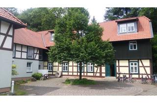 Wohnung mieten in Wilhelm-Pramme-Straße, 38855 Wernigerode, Schönes Studentenapartment (WE 2.01) in der alten Mühle ab 01.08.2024 zu vermieten
