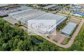 Gewerbeimmobilie mieten in 16356 Ahrensfelde, Sofort einziehen! Logistikflächen im Gewerbegebiet Blumberg - LEAD MANDAT