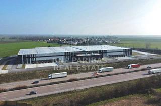 Gewerbeimmobilie mieten in 06184 Kabelsketal, Hochwertige Logistikentwicklung in Kabelsketal-Nord