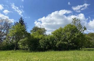 Grundstück zu kaufen in 75196 Remchingen, Gartengrundstück zu verkaufen