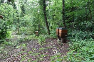 Anlageobjekt in 63165 Mühlheim, Naturbelassenes Grundstück am Grünen See in Mühlheim am Main