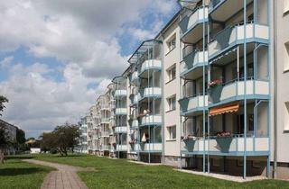 Wohnung mieten in Walter-Gerber-Straße 41, 07551 Zwötzen/Liebschwitz, Sanierte 2-Raum-Wohnung in ruhiger und grüner Lage