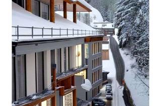 Gewerbeimmobilie kaufen in 79868 Feldberg (Schwarzwald), Hotelprojekt - ½ Million Einnahmen ab dem 3 Jahr!