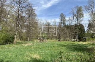 Grundstück zu kaufen in 08144 Hirschfeld, unbebautes, als Grünland genutztes Grundstück in Hirschfeld