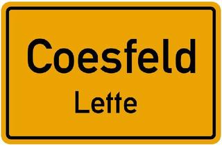 Wohnung kaufen in 48653 Coesfeld, Coesfeld - Eigentumswohnung Wohnung Reihenmittelhaus in Coesfeld Lette