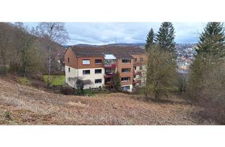 Wohnung kaufen in 89518 Heidenheim, Heidenheim an der Brenz - Zentrumsnahe große 4 Zimmerwohnung in Top-Hanglage in Heidenheim