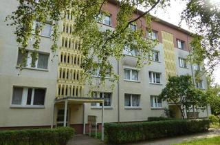 Wohnung mieten in 06179 Langenbogen, Große 4-Raum Wohnung in Teutschenthal mit Balkon