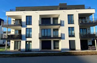 Wohnung mieten in Alte Schulstr. 31 C, 38448 Wendschott, Exklusives, modernes 1,5 Zimmer-App. mit Loggia, EBK und Tiefgaragenplatz in Wob-Wendschott!