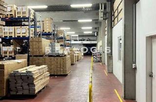 Büro zu mieten in 82069 Schäftlarn, Schäftlarn, ca. 18.164 m² Lager-und Büroflächen zu vermieten