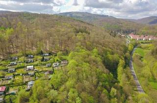 Grundstück zu kaufen in Nahe Der B 88, 99846 Seebach, Vorbildlich aufgeforsteter 7,5 ha Laubwald