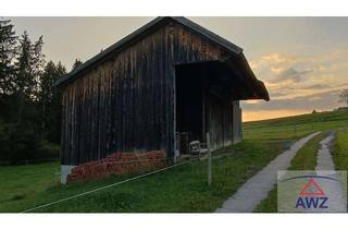 Grundstück zu kaufen in 86983 Lechbruck, Landwirtschaftliche Fläche mit ca. 2,4 ha Größe!