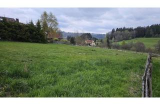 Grundstück zu kaufen in Wutachtalblick 24a, 79848 Bonndorf im Schwarzwald, Grundstück mit Sicht in die Wutachschlucht