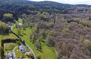 Gewerbeimmobilie kaufen in Röthenbach, 08648 Bad Brambach, Kleine Wald- und Wiesenflächen