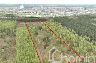 Gewerbeimmobilie kaufen in 16303 Schwedt/Oder, Laubmischwald (ca. 4 ha) in Schwedt/Oder