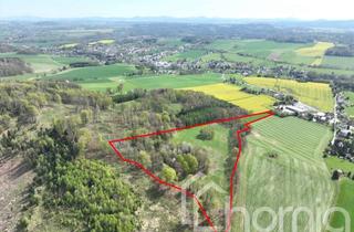 Gewerbeimmobilie kaufen in 02742 Neusalza-Spremberg, Acker, Wald und Wiese (ca. 5,5 ha) in der Oberlausitz