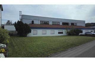 Büro zu mieten in 73635 Rudersberg, Rudersberg **** Gewerbehalle mit Büro für Werkstatt * Verkauf * Produktion * Lager