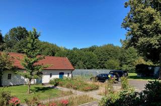 Haus kaufen in 23689 Pansdorf, Großes ländliches Anwesen in Fast-Alleinlage - 19 ha Land