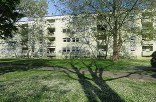 Wohnung kaufen in 67069 Edigheim, Wohnen auf einer Ebene mit der Familie - Ludwigshafen-Pfingstweide