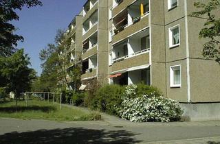 Wohnung mieten in Willy-Jannasch-Straße, 03042 Sandow, 2-Raum-Wohnung in Sandow sucht Mieter