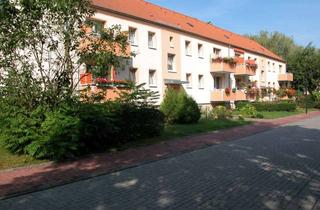 Wohnung mieten in Grüne Straße, 06242 Braunsbedra, Schöne 2-Raumwohnung mit Balkon im Geiseltal