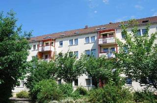 Wohnung mieten in Nordring 54, 03044 Schmellwitz, verkehrsgünstig gelegene Wohnung mit Blick ins Grüne