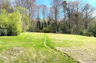 Grundstück zu kaufen in 76332 Bad Herrenalb, +L+ Einzigartiges Filetstück in sensationeller Lage! +L+