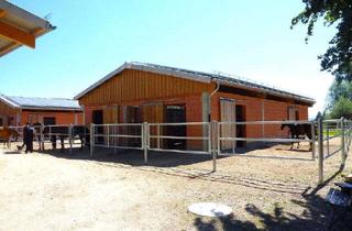 Immobilie kaufen in 78467 Konstanz, Professionelle, neuwertige Reitanlage mit vielfältigen Nutzungsmöglichkeiten