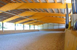 Immobilie kaufen in 78467 Konstanz, Professionelle, neuwertige Reitanlage mit vielfältigen Nutzungsmöglichkeiten