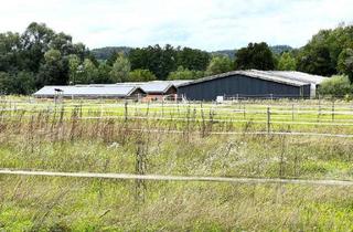 Immobilie kaufen in 78467 Konstanz, Professionelle, neuwertige Reitanlage mit vielfältigen Nutzungsmöglichkeiten