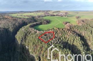 Gewerbeimmobilie kaufen in 01848 Hohnstein, Kleiner Laubmischwald (ca. 1 ha) im Nationalpark Sächsische Schweiz