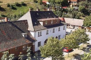 Mehrfamilienhaus kaufen in 77740 Bad Peterstal-Griesbach, Bad Peterstal-Griesbach - Mehrfamilienhaus zu verkaufen