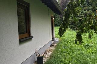 Haus kaufen in 53945 Blankenheim, Blankenheim - 57qm Tiny House auf 880qm Bauland & 3.945qm Garten, Lommersdorf
