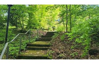 Haus kaufen in 69151 Neckargemünd, Leben im Einklang mit der Natur! Nahe Heidelberg mit einem genialen Grundstück!