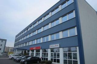 Büro zu mieten in 63069 Lauterborn, 300 m² Lagerhalle + 237 m² Bürofläche zu vermieten