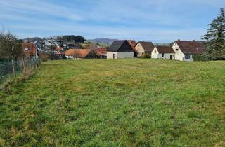 Grundstück zu kaufen in Römerberg, 64397 Modautal, Großzügiges ländliches Grundstück mit wunderbarer Aussicht