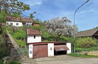 Einfamilienhaus kaufen in 84032 Altdorf, Altdorf - Über den Dingen - Wohnen und Arbeiten am Waldesrand