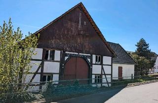 Haus kaufen in 37671 Höxter, Höxter - Denkmalgeschütztes Fachwerkhaus in Albaxen (Sanierungsobjekt)