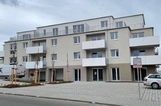 Wohnung kaufen in Neumayerstraße 33a, 67292 Kirchheimbolanden, Neubau Erstbezug - Exklusive 4 ZKB-Wohnung in attraktiver Lage