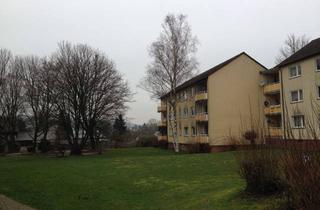 Wohnung mieten in Niederzeller Str., 36396 Steinau, Schöne 3 Zimmer-Wohnung
